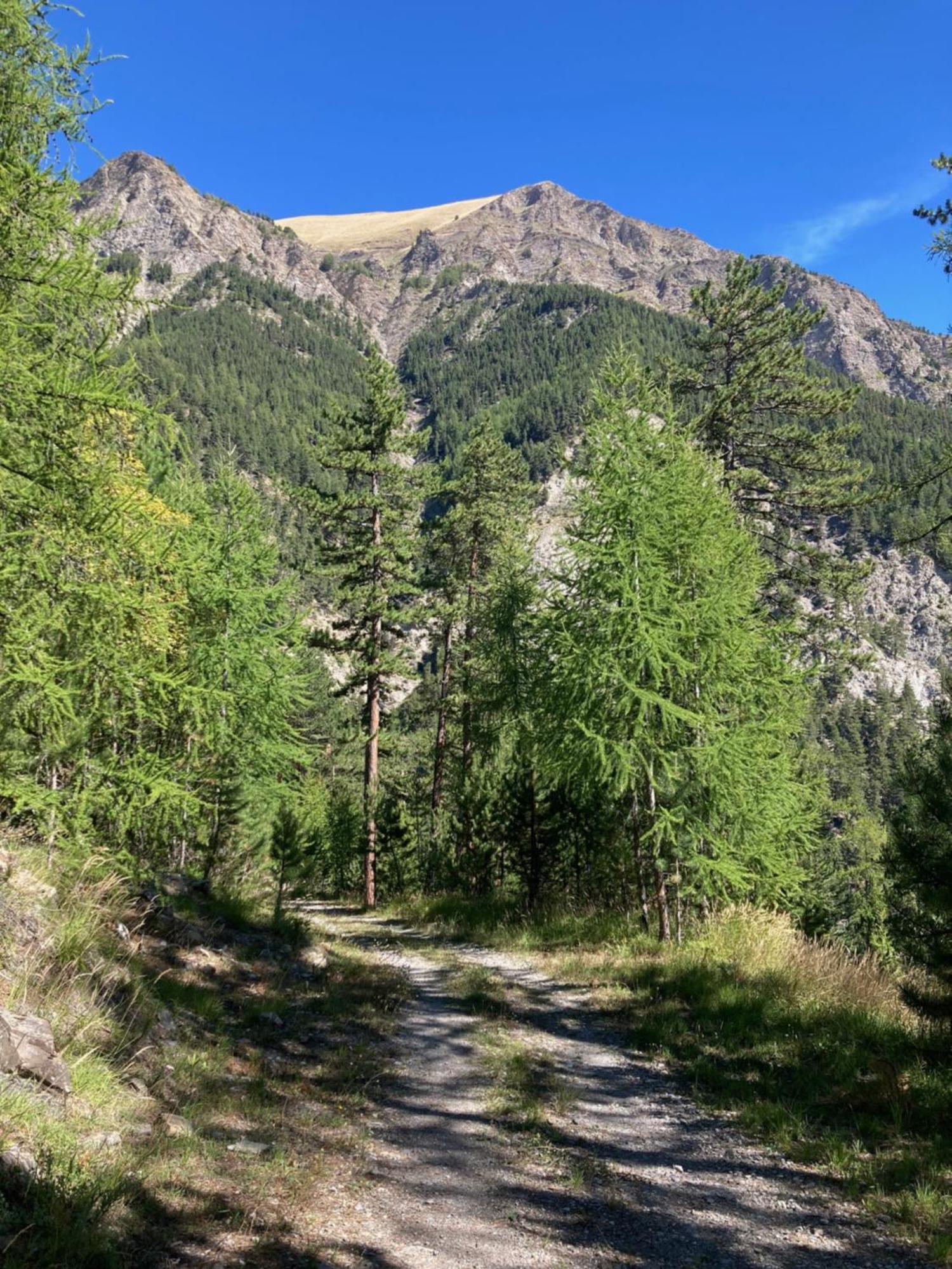 Les Melezes 1 Studio Barcelonnette Ngoại thất bức ảnh